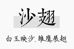 沙翅名字的寓意及含义