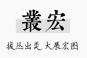 丛宏名字的寓意及含义