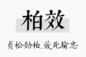 柏效名字的寓意及含义