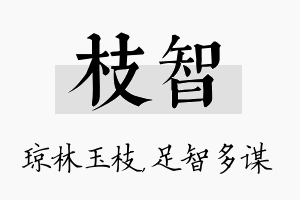 枝智名字的寓意及含义