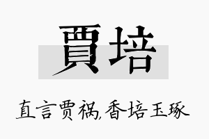 贾培名字的寓意及含义