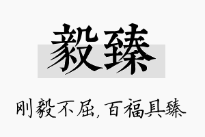 毅臻名字的寓意及含义