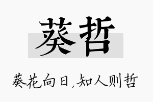 葵哲名字的寓意及含义