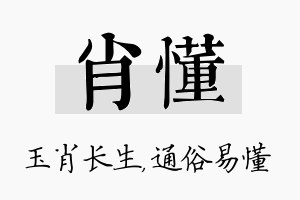 肖懂名字的寓意及含义