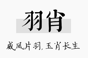 羽肖名字的寓意及含义