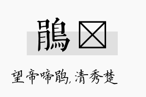 鹃妘名字的寓意及含义