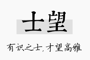 士望名字的寓意及含义