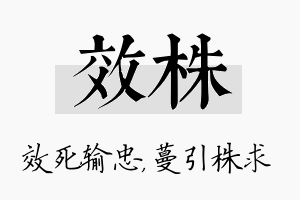 效株名字的寓意及含义