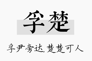 孚楚名字的寓意及含义