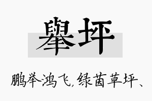 举坪名字的寓意及含义