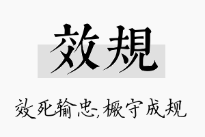 效规名字的寓意及含义