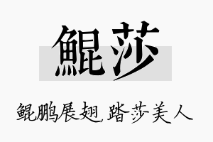 鲲莎名字的寓意及含义