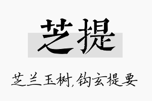 芝提名字的寓意及含义