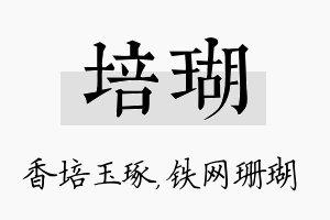 培瑚名字的寓意及含义