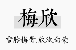 梅欣名字的寓意及含义