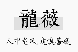 龙薇名字的寓意及含义