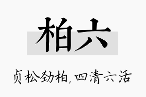 柏六名字的寓意及含义