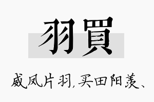 羽买名字的寓意及含义