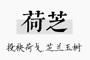 荷芝名字的寓意及含义