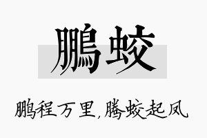 鹏蛟名字的寓意及含义