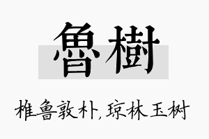 鲁树名字的寓意及含义