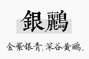 银鹂名字的寓意及含义