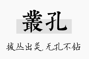 丛孔名字的寓意及含义