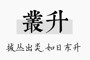 丛升名字的寓意及含义