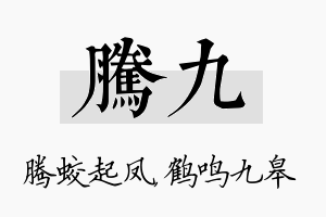 腾九名字的寓意及含义