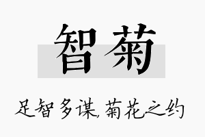 智菊名字的寓意及含义