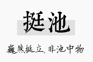 挺池名字的寓意及含义