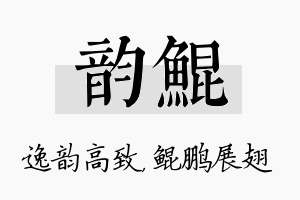 韵鲲名字的寓意及含义