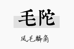 毛陀名字的寓意及含义