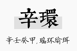 辛环名字的寓意及含义