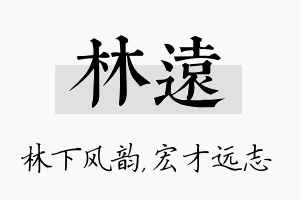 林远名字的寓意及含义