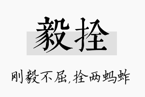 毅拴名字的寓意及含义