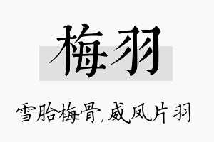 梅羽名字的寓意及含义