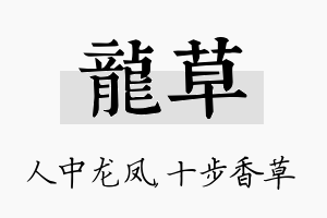 龙草名字的寓意及含义