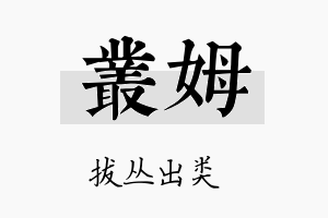 丛姆名字的寓意及含义