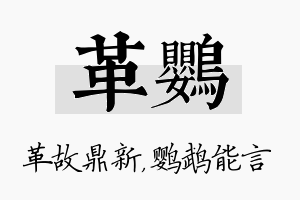 革鹦名字的寓意及含义