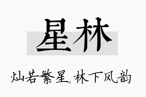 星林名字的寓意及含义