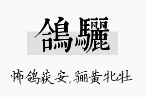 鸽骊名字的寓意及含义