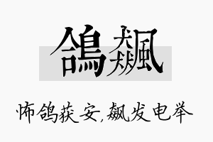 鸽飙名字的寓意及含义