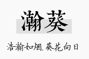 瀚葵名字的寓意及含义