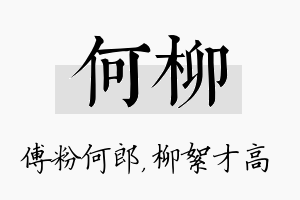 何柳名字的寓意及含义