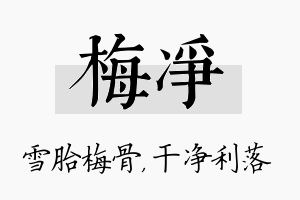 梅净名字的寓意及含义