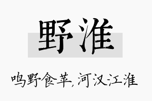 野淮名字的寓意及含义