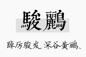 骏鹂名字的寓意及含义