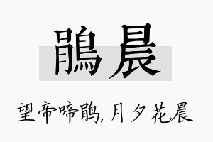 鹃晨名字的寓意及含义