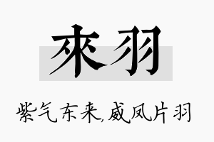 来羽名字的寓意及含义